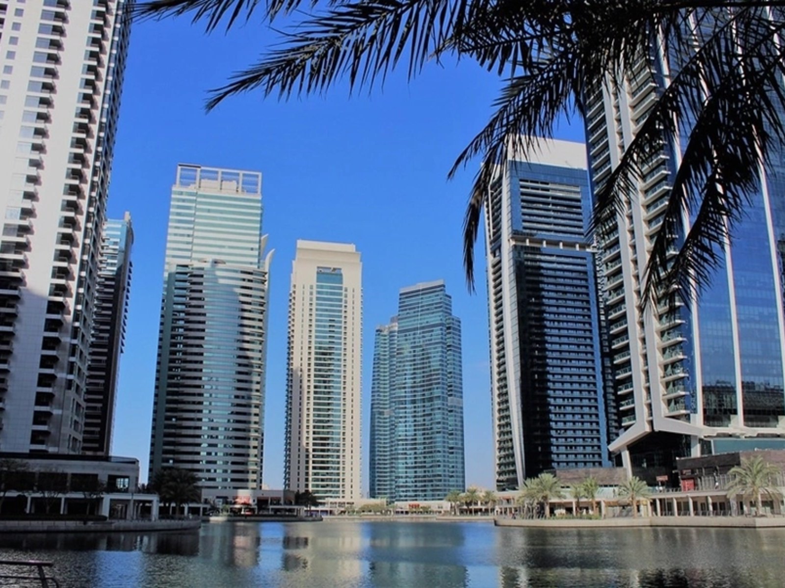 JBC 5 office tower – Cluster W