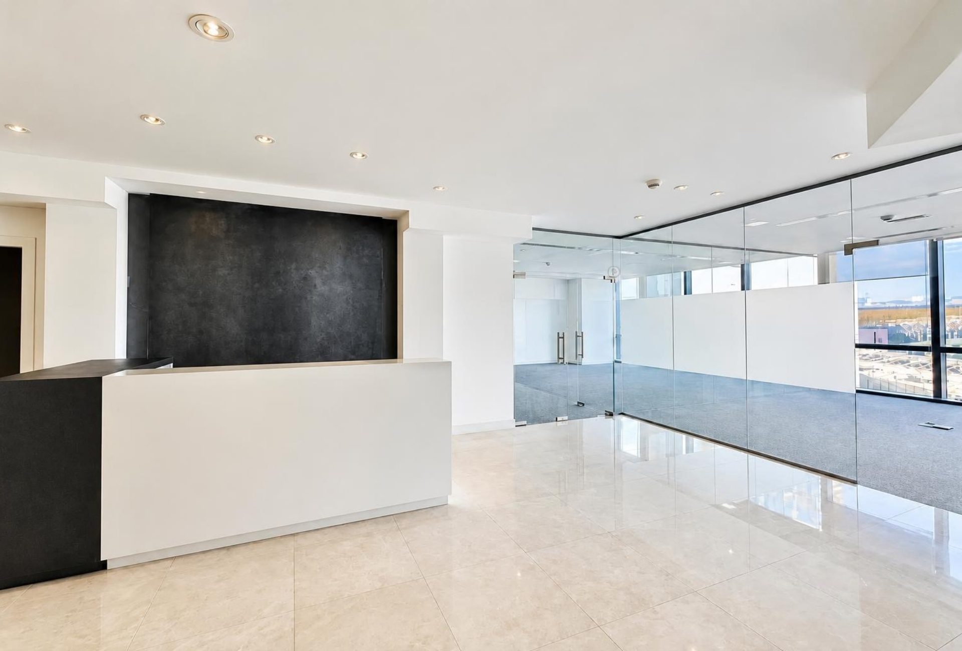 Reception desk and glass partition in Boulevard Plaza 2 office
